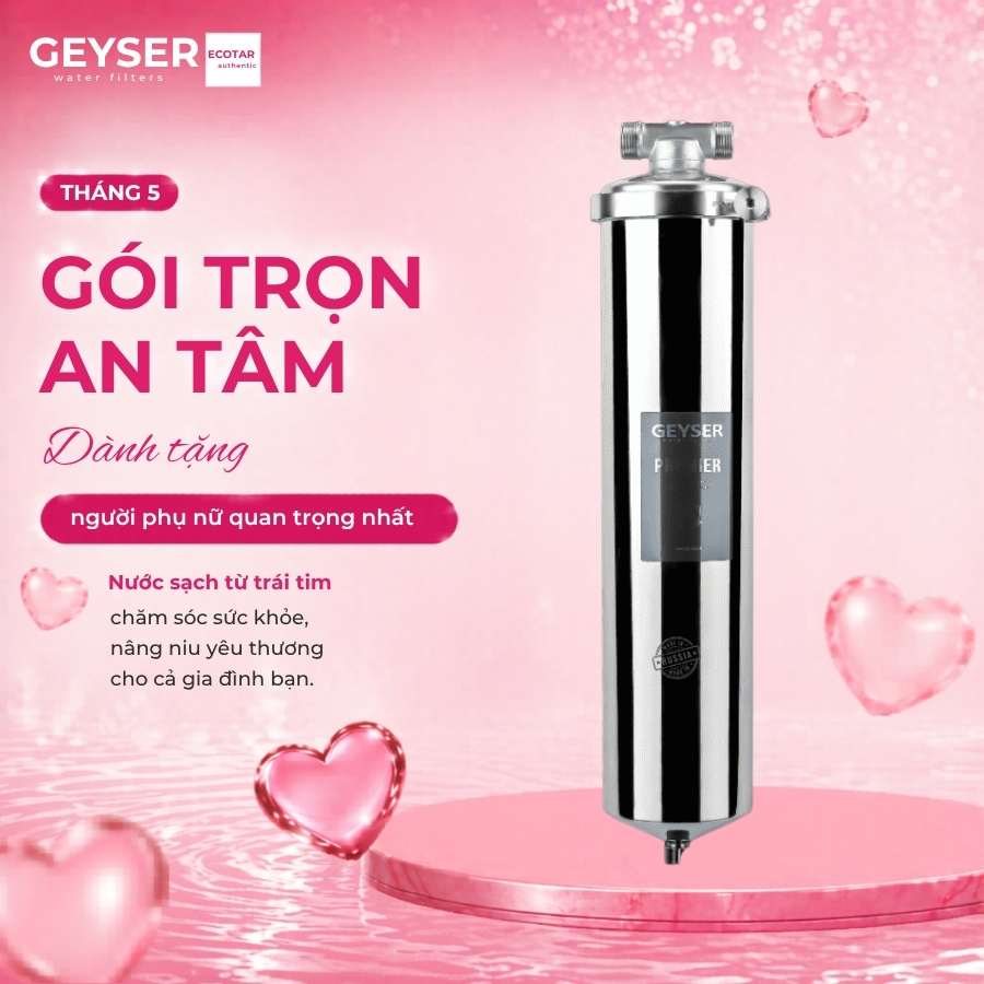 Máy lọc nước tắm đầu nguồn Geyser Typhoon 20BB NEW