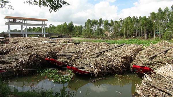 Ô nhiễm nước ở Trà Vinh