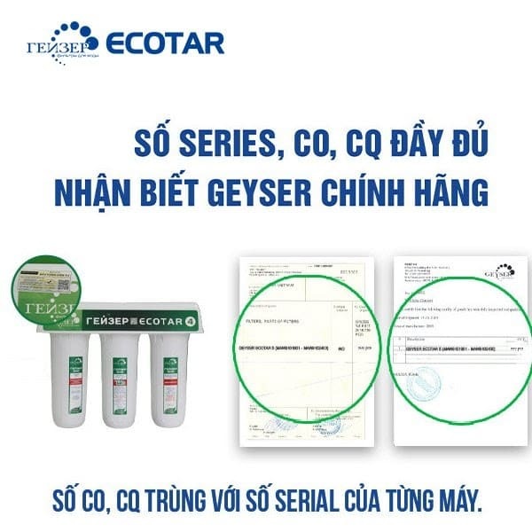 Chứng nhận CO, CQ/ sản phẩm xác thực nguồn gốc xuất xứ Geyser Ecotar 4