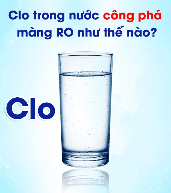 Clo phá huỷ màng RO