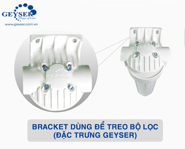 Bracken đặc trưng