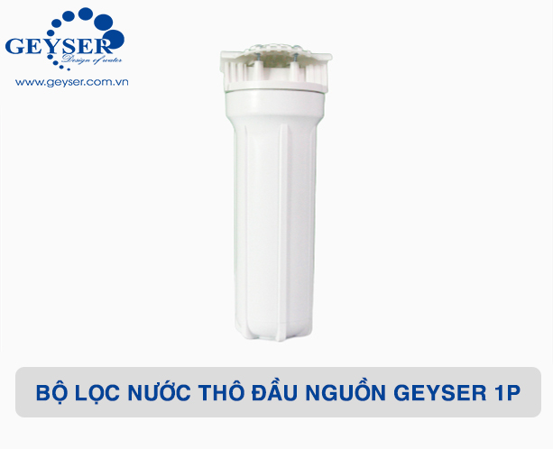 Chân dung bộ lọc nước thô đầu nguồn Geyser 1P