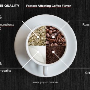 máy lọc Geyser Meastro tăng chất lượng cà phê