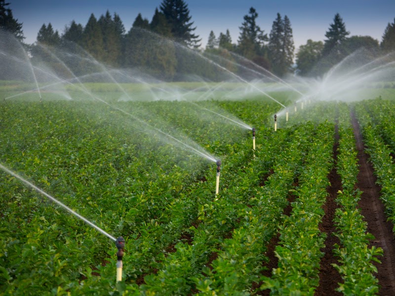 nước quan trọng trong nông nghiệp