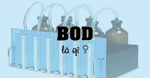BOD là gì
