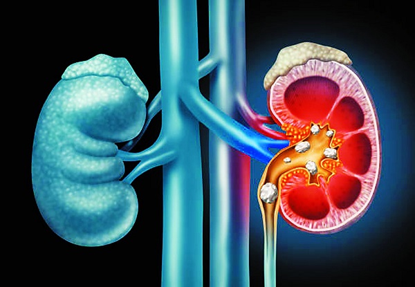 vai trò của nước đối với con người