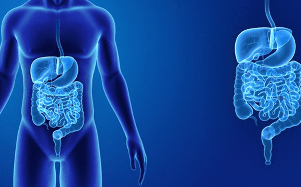 vai trò của nước đối với cơ thể