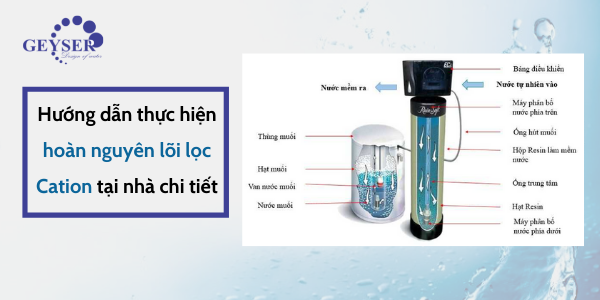 hướng dẫn hoàn nguyên hạt cation