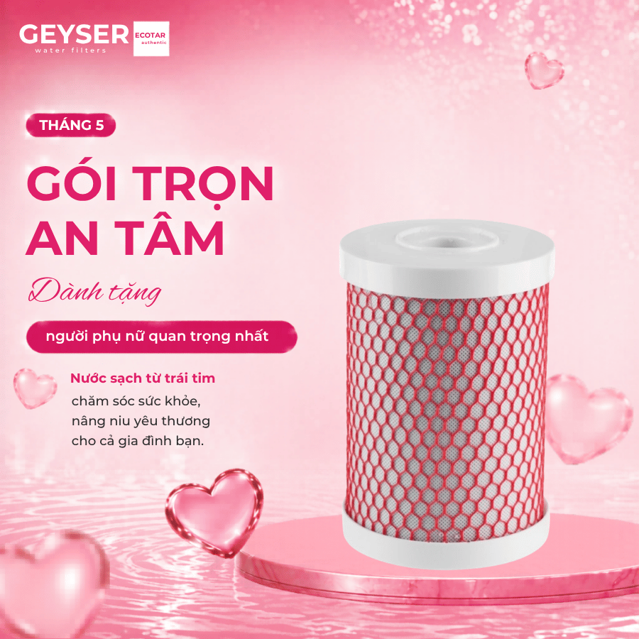 Lõi lọc nước Geyser Aragon Ecotar LUX