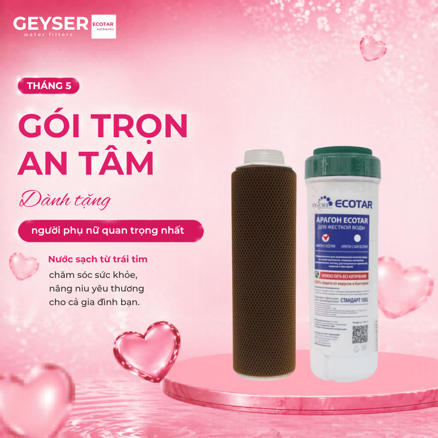 Lõi lọc nước Geyser Ecotar 3 Aragon Ecotar(Ecotar 2)