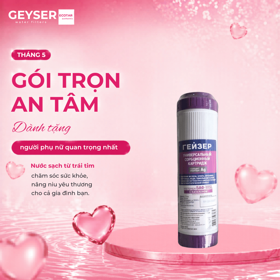 Lõi lọc nước Geyser Ecotar 3 BAF 4 in 1 (Lõi số 3)