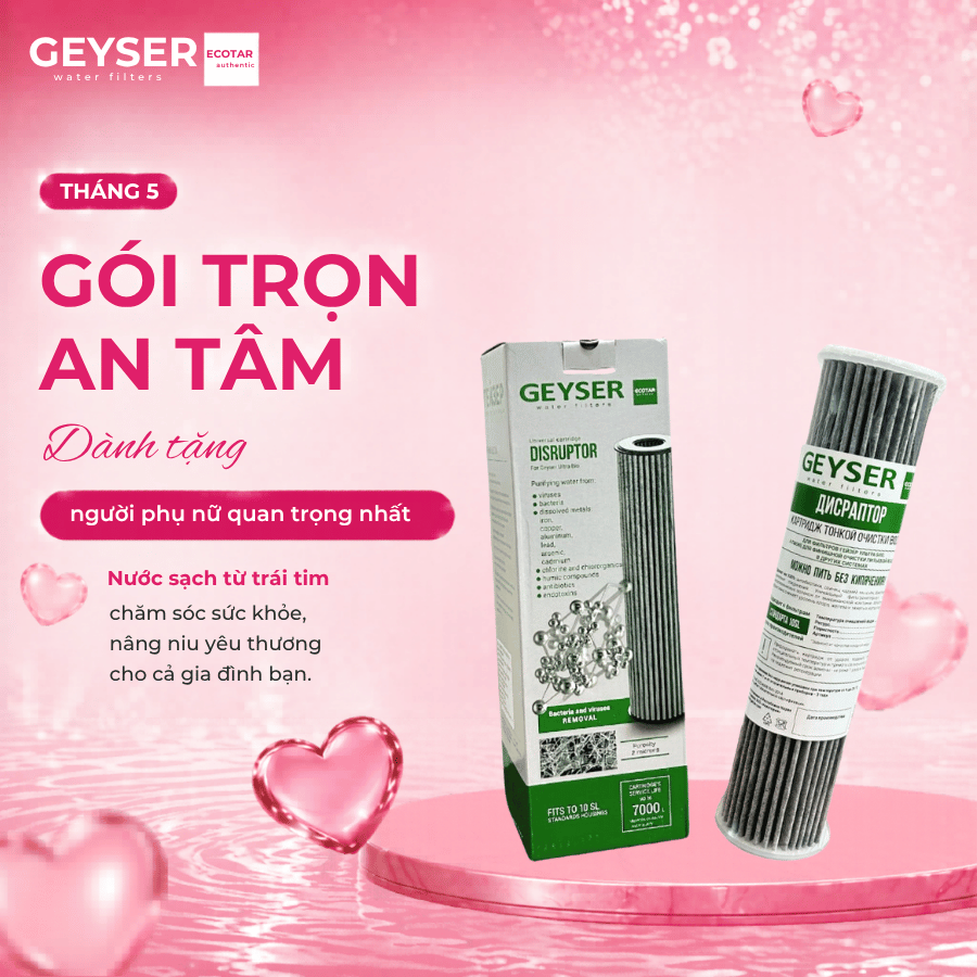 Lõi lọc nước Geyser Ecotar 4 nano Disruptor Ecotar New