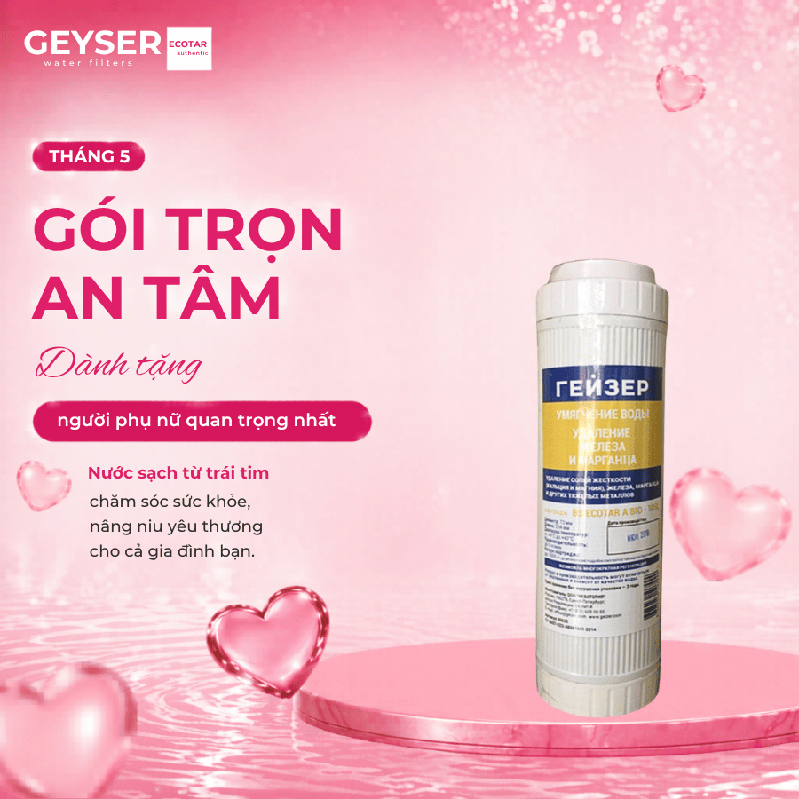 Lõi lọc nước Geyser Ecotar 4 nano Ecotar A Bio New