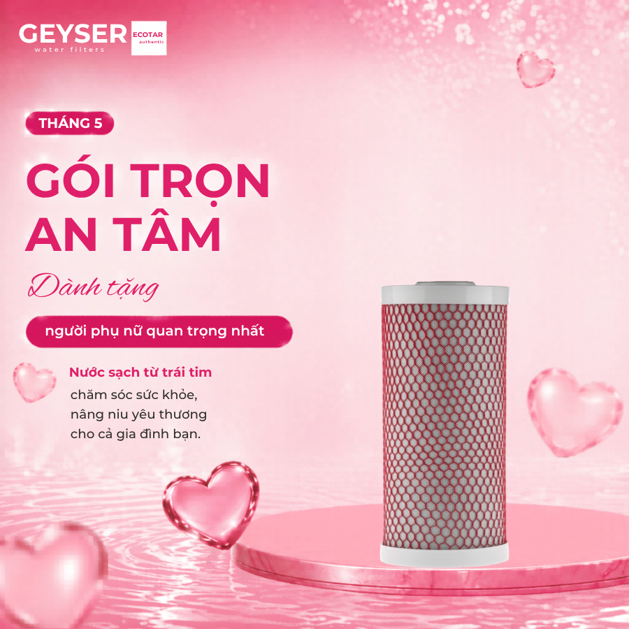 Lõi lọc nước nano Geyser Aragon 3 10BB