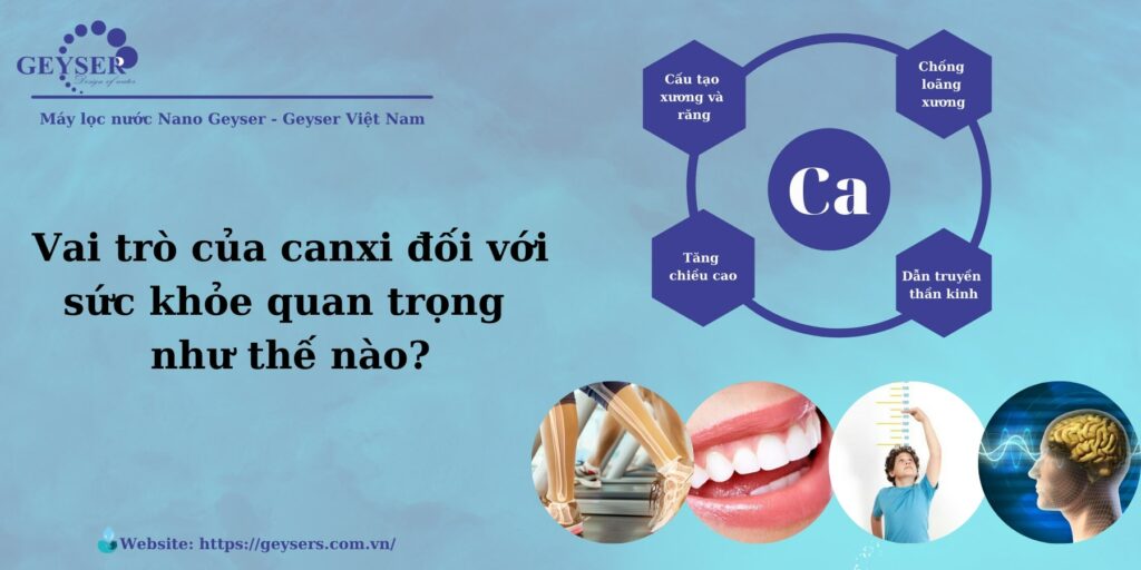Vai trò của canxi: là khoáng chất thiết yếu đối với cơ thể.