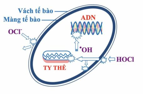 khử trùng nước sinh hoạt bằng clo