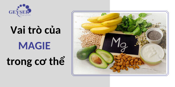 vai trò của magie trong cơ thể