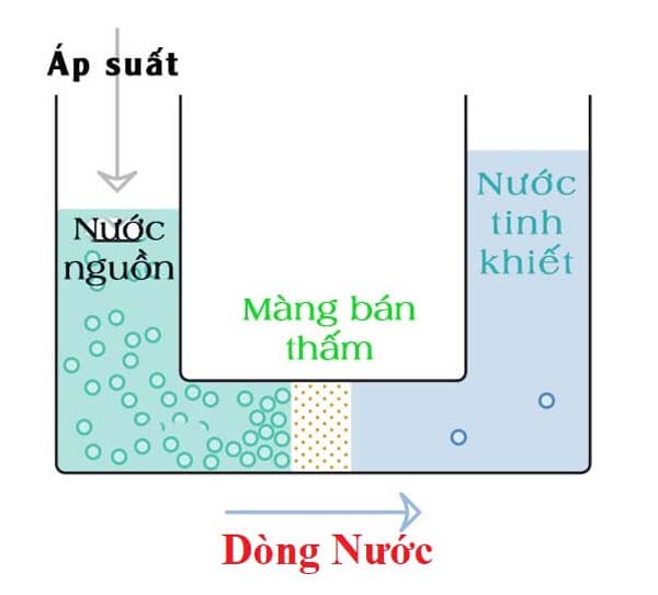 Cơ chế hoạt động của cơ chế thẩm thấu ngược