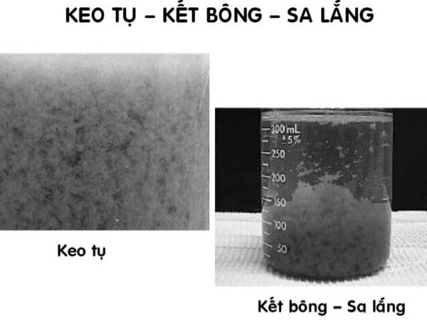 dấu hiệu nước nhiễm asen