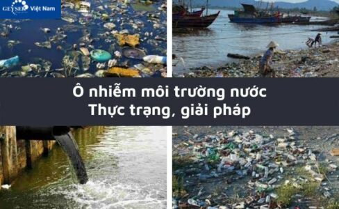Ô nhiễm môi trường nước