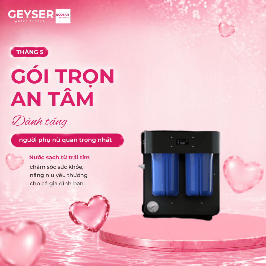 Máy lọc nước chuẩn khoáng Geyser Meastro 2000 chính hãng cho nhà hàng, quán cà phê