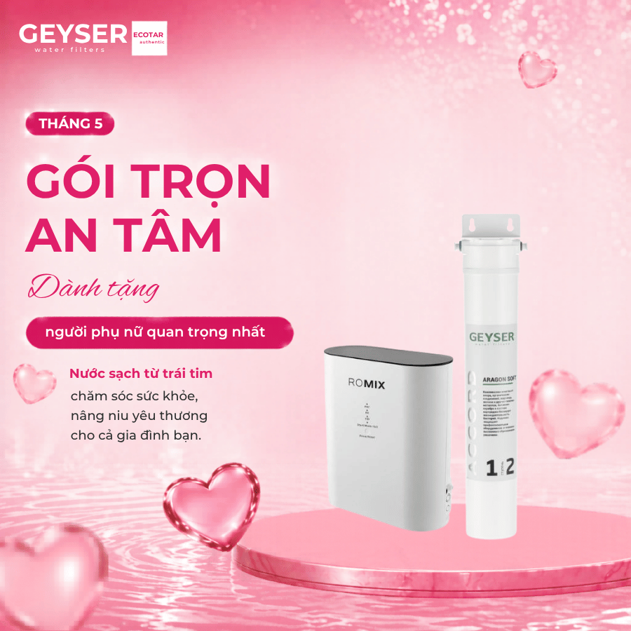 Máy lọc nước chuẩn khoáng Geyser Ecotar Accord Soft ROMIX cho máy pha cafe