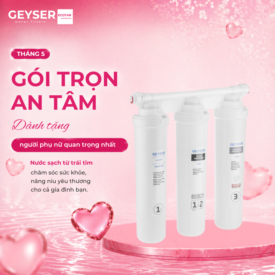 geyser-ecotar-optima-t5