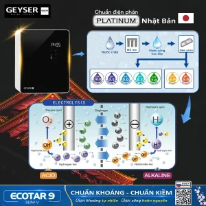 Sơ đồ điện phân công nghệ Platium chuẩn Nhật