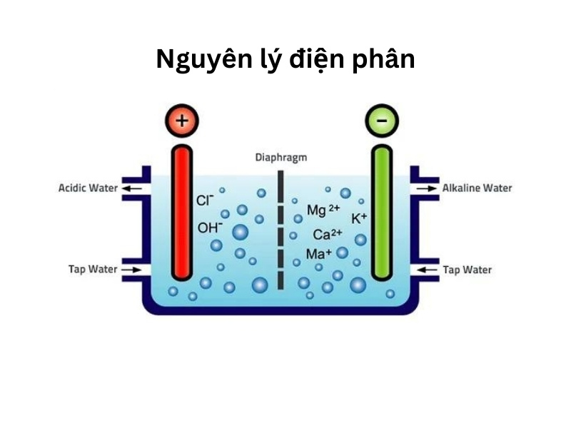 Nguyên lý điện phân máy lọc nước ion kiềm