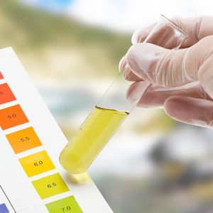 Bộ test pH nước