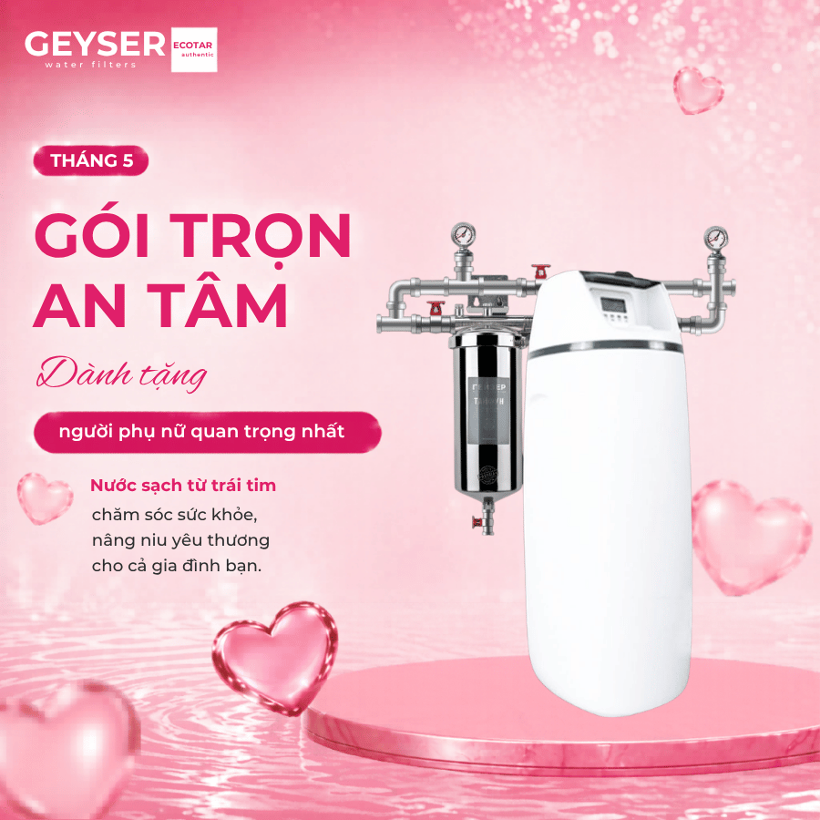 Hệ thống lọc nước tổng đầu nguồn làm mềm nước Geyser Ecotar 1F10S