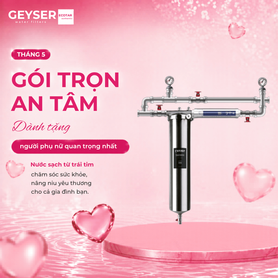 Hệ thống lọc nước tổng đầu nguồn Geyser Ecotar 1F1A