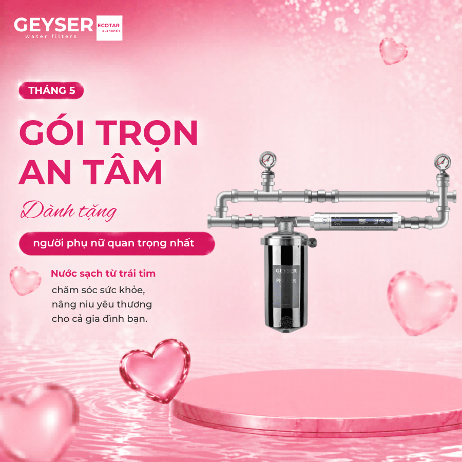 Bộ lọc nước tổng đầu nguồn mini Geyser Ecotar 1F1As