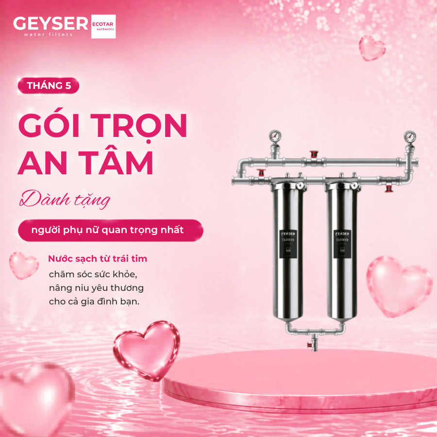 Hệ thống lọc nước tổng đầu nguồn Geyser Ecotar 2F