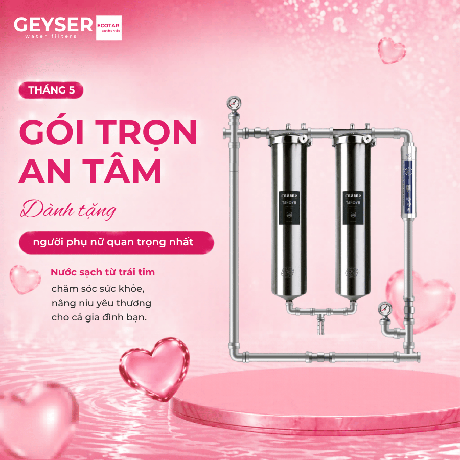 Hệ thống lọc nước tổng đầu nguồn Geyser Ecotar 2F1A