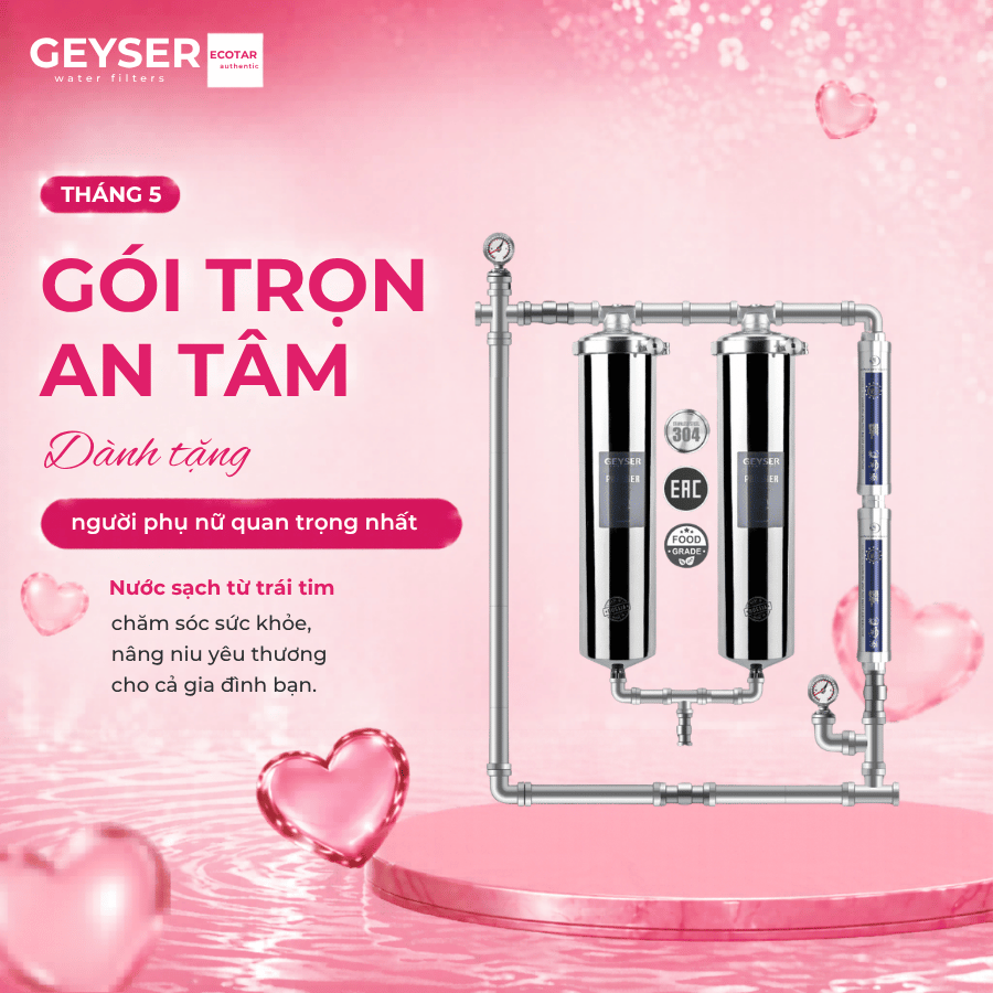 Hệ thống lọc nước tổng đầu nguồn Geyser Ecotar 2F2A