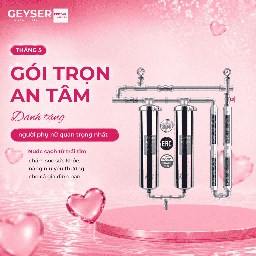 Hệ thống lọc nước tổng đầu nguồn Geyser Ecotar 2F4A