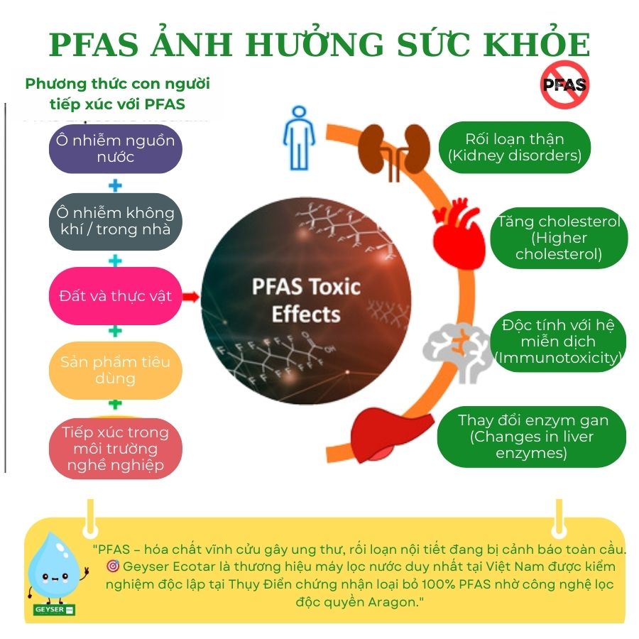 PFAS là gì? Ảnh hưởng của PFAS với sức khỏe