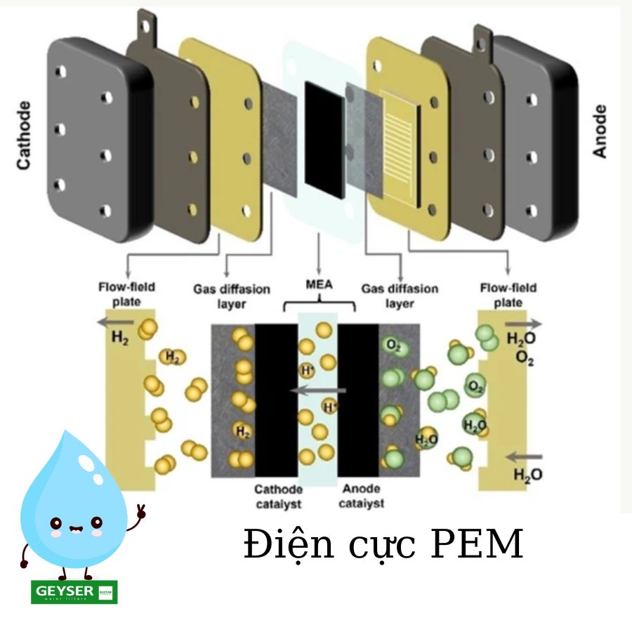 Điện cực pem máy lọc nước hydrogen
