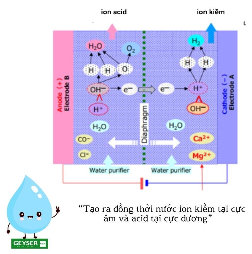 Máy lọc nước ion kiềm - Công nghệ điện phân chuẩn Nhật