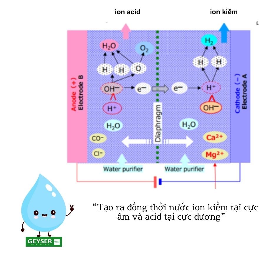 Nguyên lý điện phân chuẩn Nhật