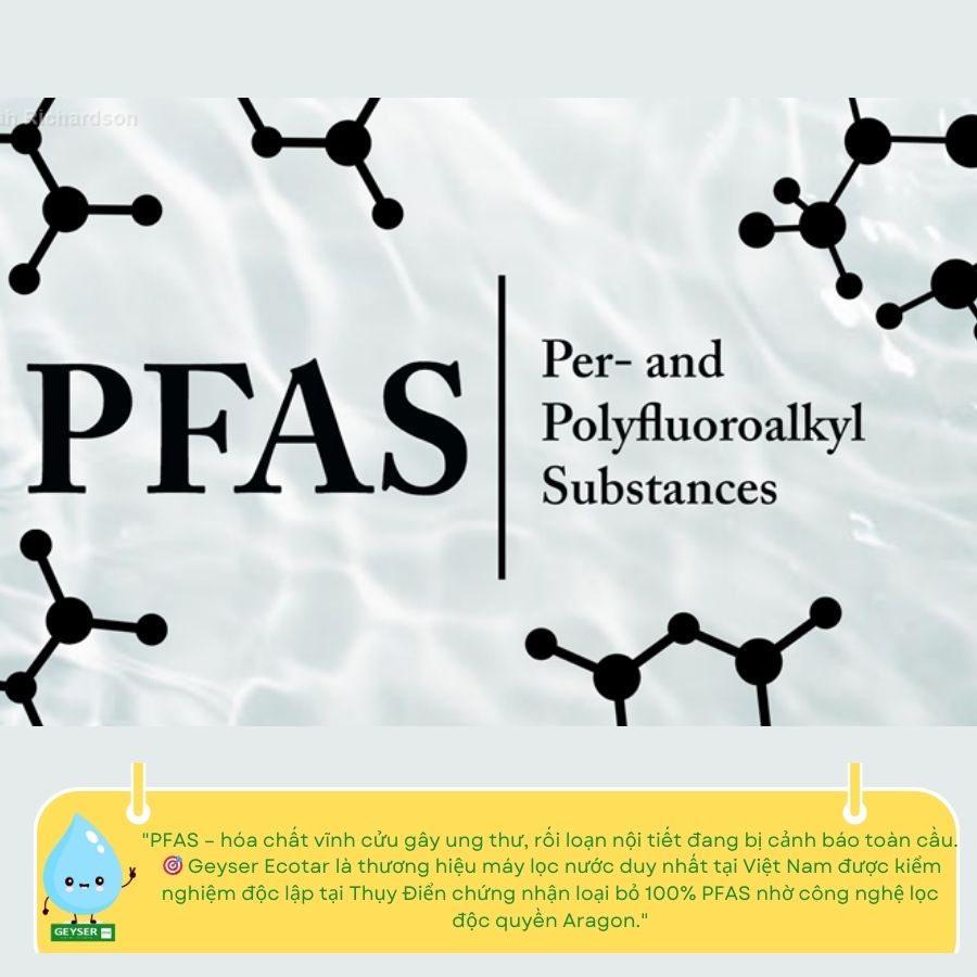 PFAS là gì?
