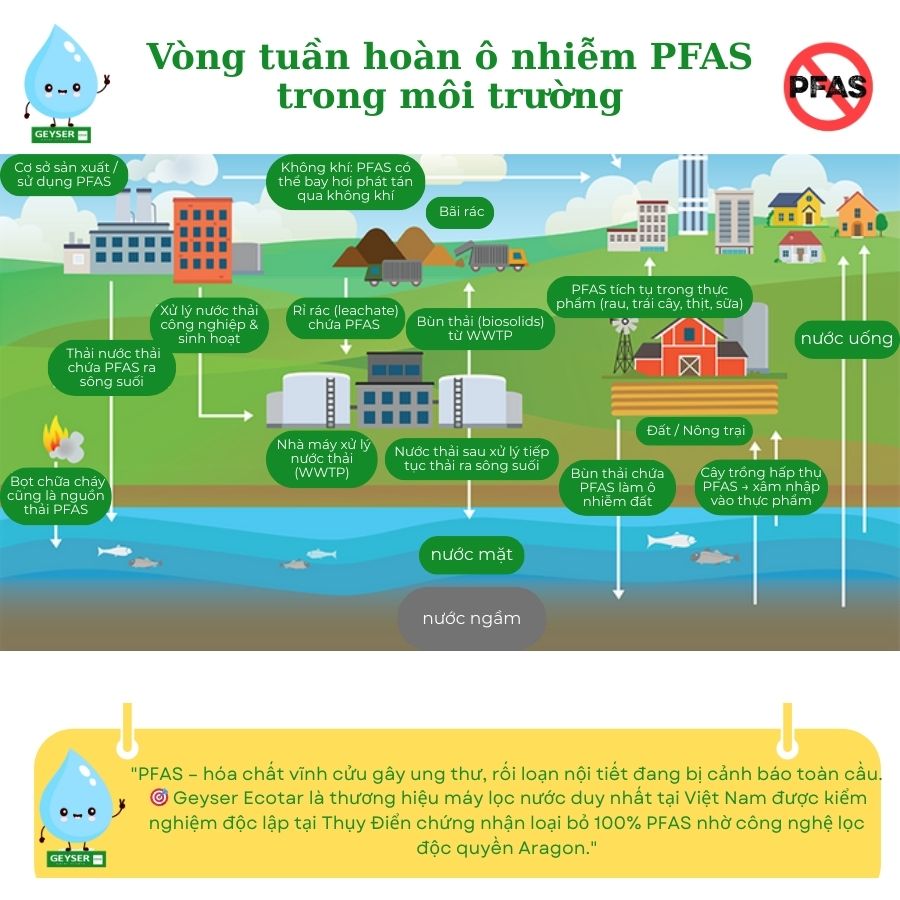 Vòng tuần hoàn PFAS trong nước và không khí, thực phẩm