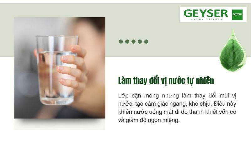 Cặn trắng làm thay đổi vị nước tự nhiên