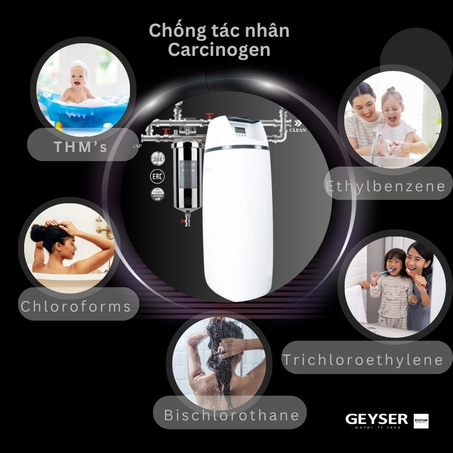 Lọc tổng đầu nguồn Geyser Ecotar 1F10S carcinogen
