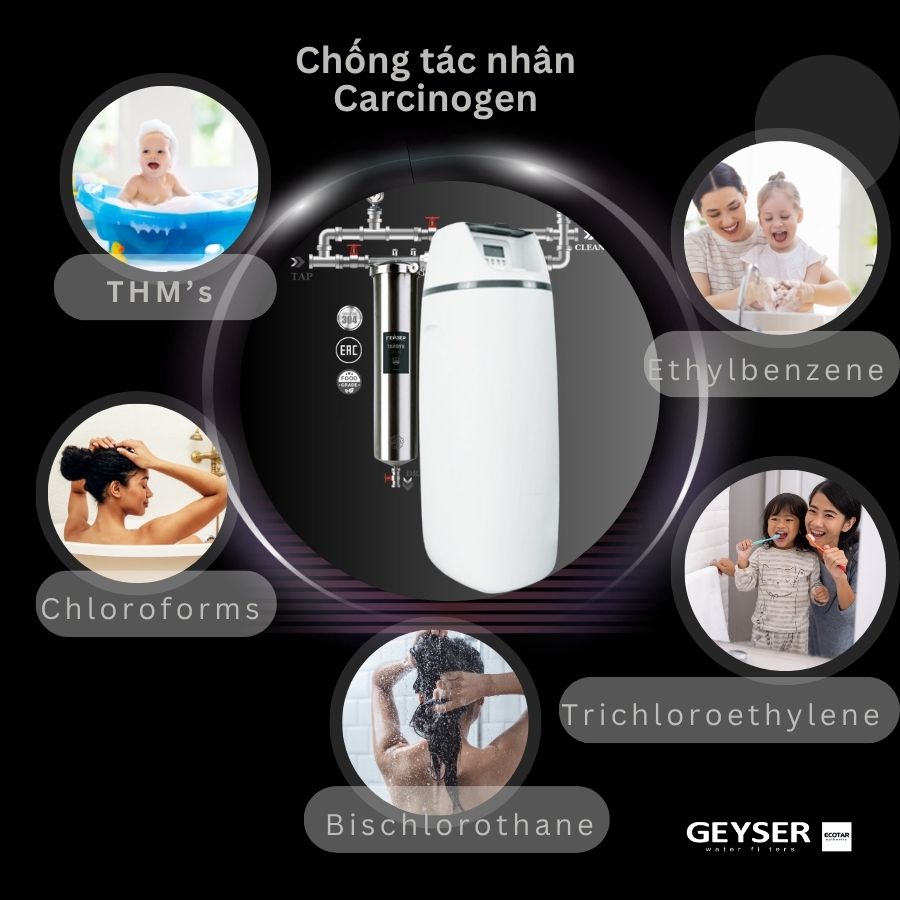 Lọc tổng đầu nguồn Geyser Ecotar 1F20S carcinogen