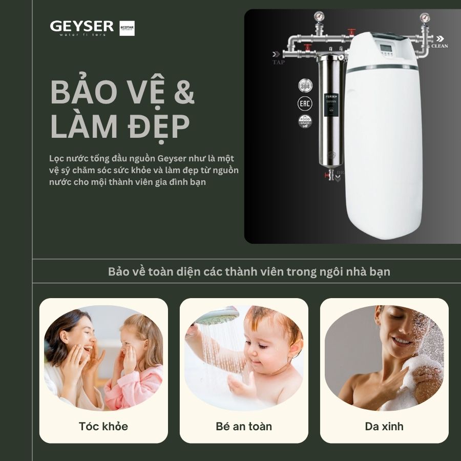 Lọc tổng đầu nguồn Geyser Ecotar 1F20S tóc khỏe