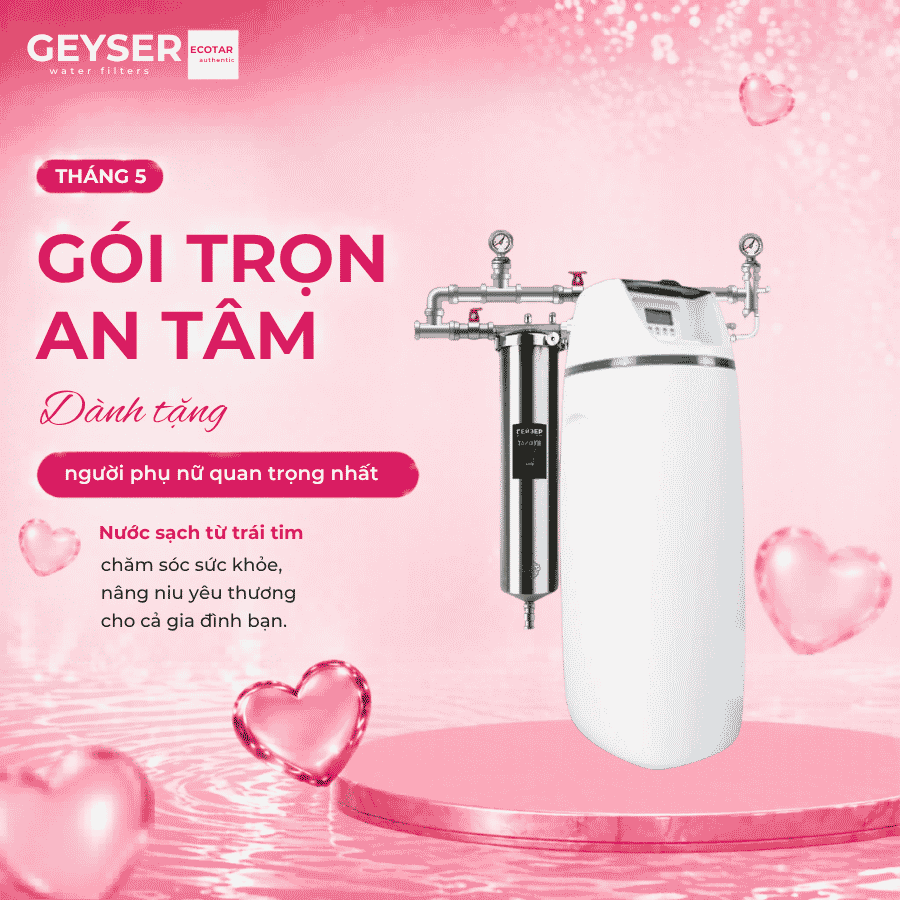 Hệ thống lọc nước tổng đầu nguồn làm mềm nước Geyser Ecotar 1F20S