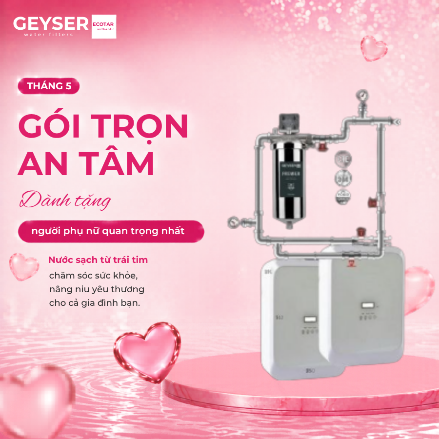 Lọc tổng đầu nguồn trên đường ống lắp âm trần cho căn hộ chung cư Geyser Ecotar 1F2Ss