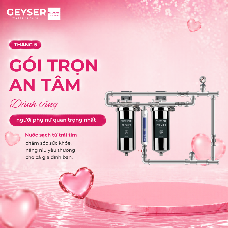 Lọc tổng đầu nguồn âm trần cho căn hộ chung cư Geyser Ecotar 2F1As